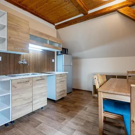 Aparthotel Klinovec - Jonas